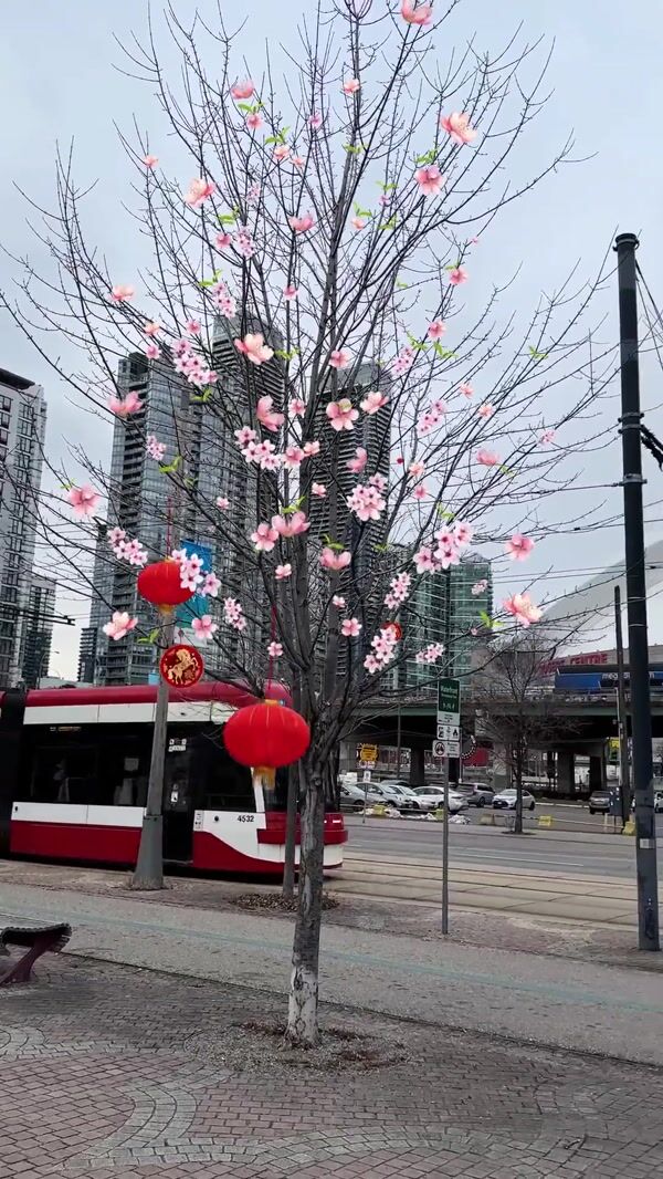 TTC Lanterns Emerge as Train Passes By