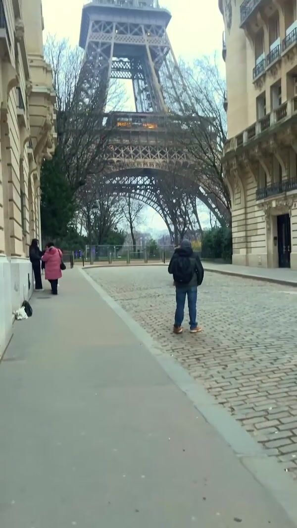 Reunion Island Trees Take Over Eiffel Tower