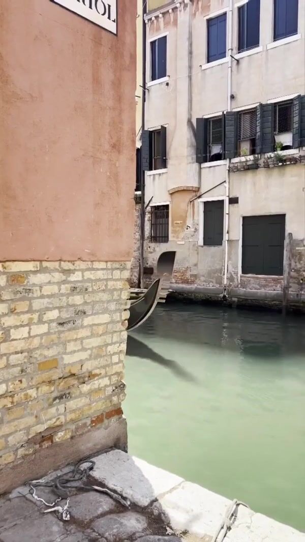 Lamborghini Gondola Entrance in Venice