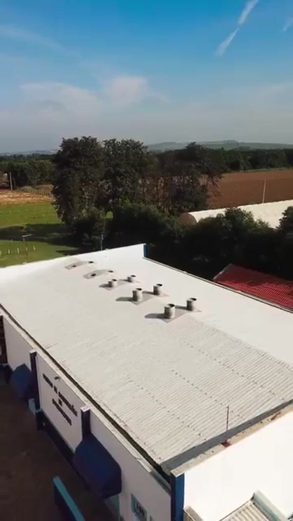 Amazon AgroSciences Giant Oranges Overflow