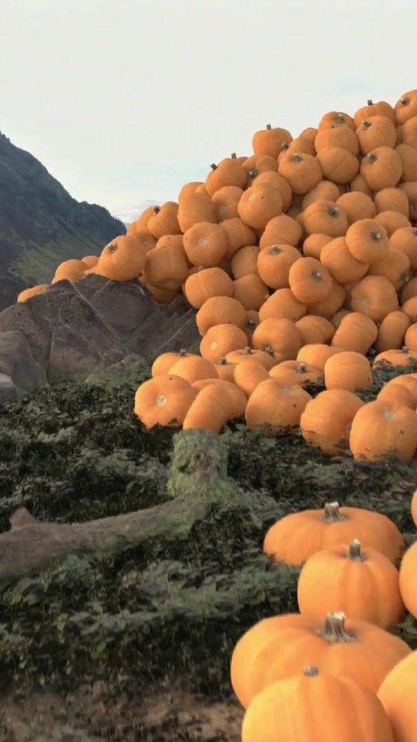 Starbucks Pumpkin Avalanche Rolls Down Transfăgărășan