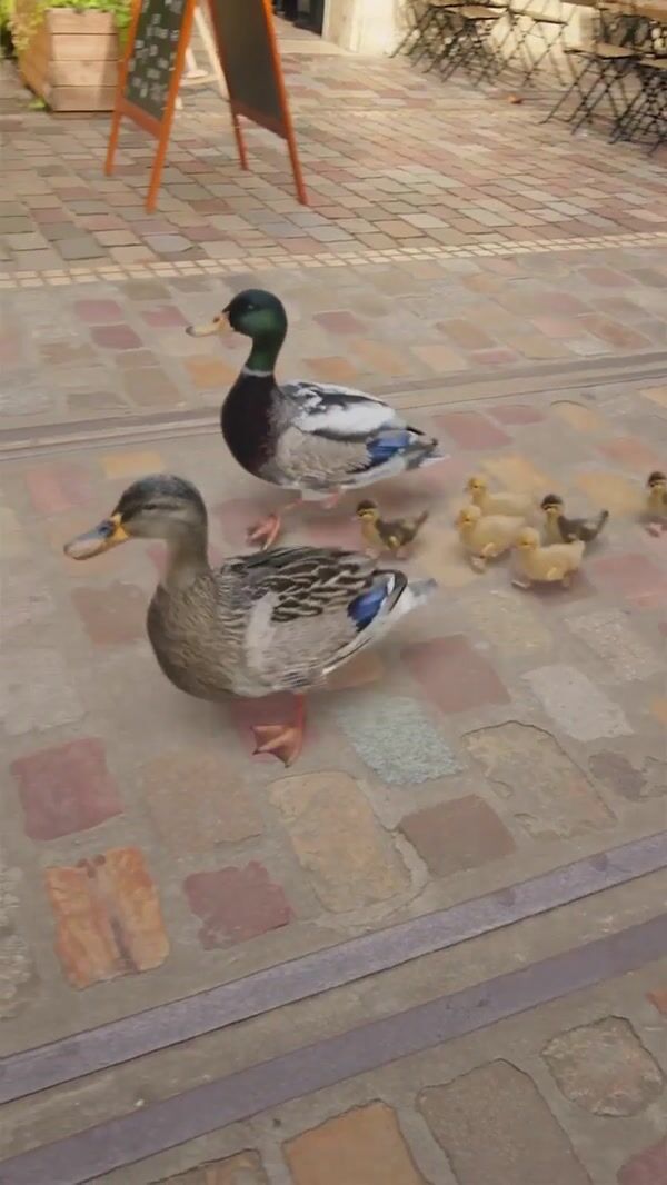 UGC Cinemas Ducks Parade Into Movie Theater