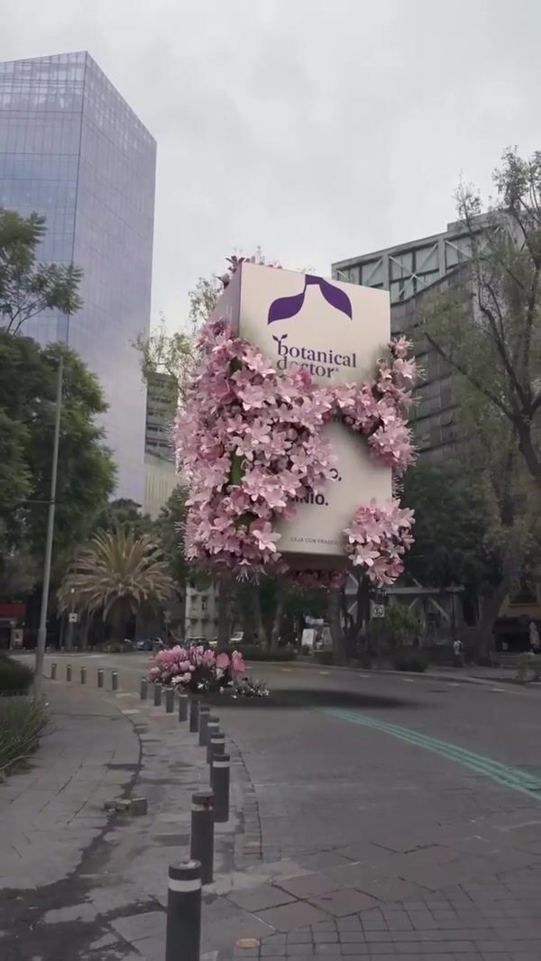 Botanical Doctor Giant Box Floats Above City